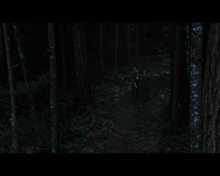 Ashley-Greene-dot-nl_BreakingDawnPart2-0752.jpg