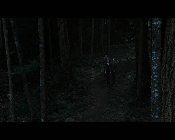 Ashley-Greene-dot-nl_BreakingDawnPart2-0754.jpg