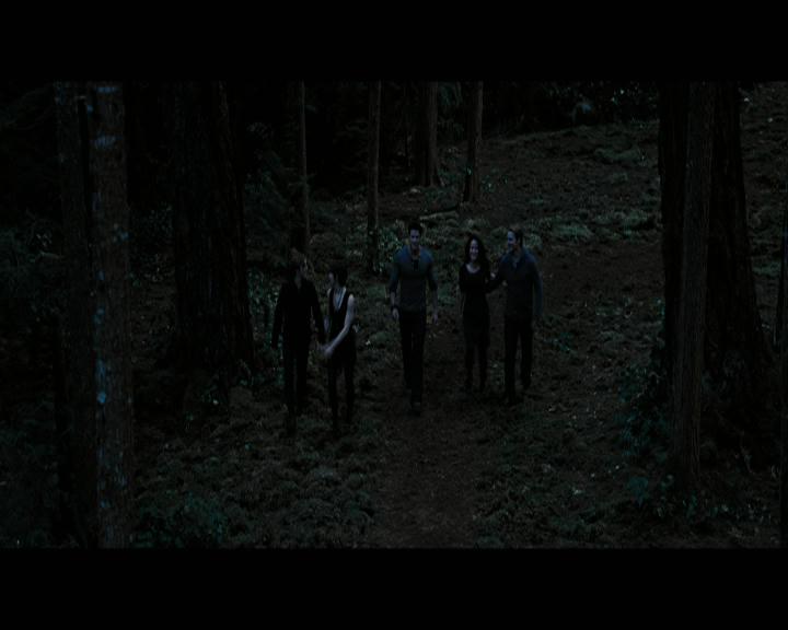 Ashley-Greene-dot-nl_BreakingDawnPart2-0761.jpg