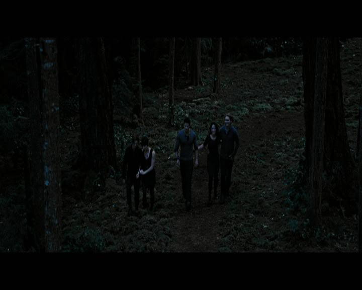 Ashley-Greene-dot-nl_BreakingDawnPart2-0762.jpg