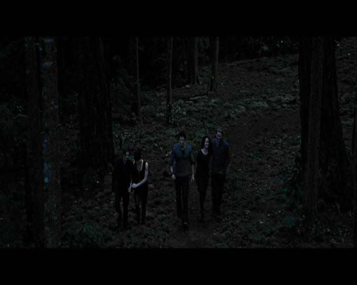 Ashley-Greene-dot-nl_BreakingDawnPart2-0763.jpg