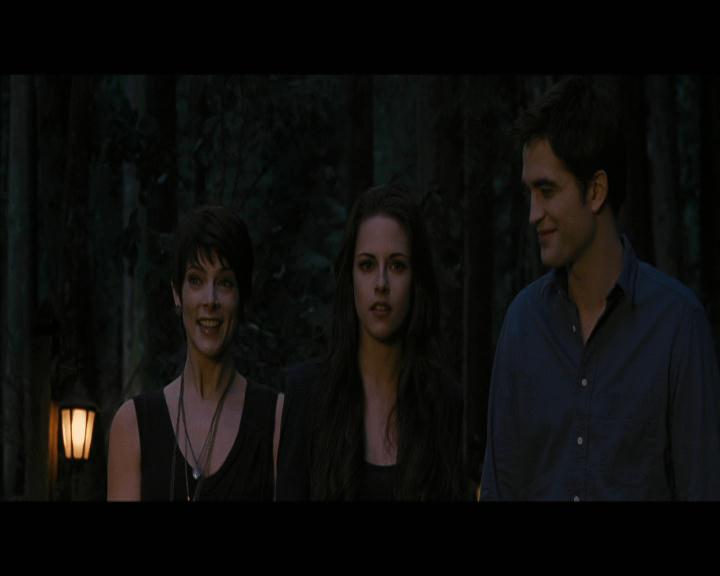 Ashley-Greene-dot-nl_BreakingDawnPart2-0808.jpg