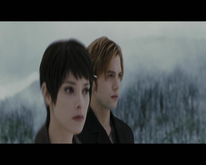 Ashley-Greene-dot-nl_BreakingDawnPart2-4580.jpg