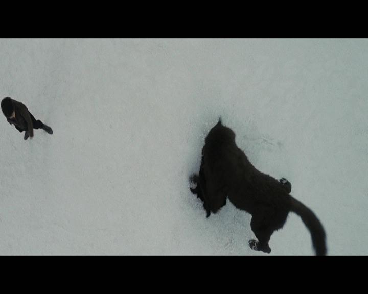 Ashley-Greene-dot-nl_BreakingDawnPart2-5017.jpg Ashley-Greene-dot-nl_BreakingDawnPart2-5017.jpg