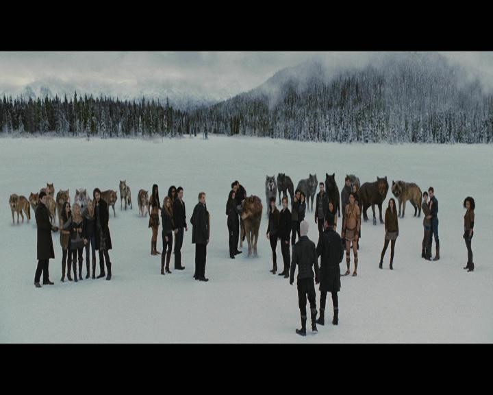 Ashley-Greene-dot-nl_BreakingDawnPart2-5338.jpg