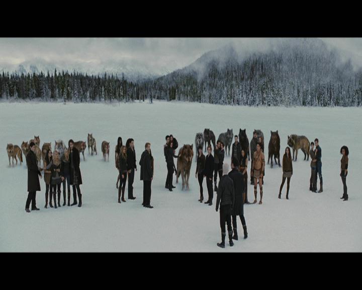 Ashley-Greene-dot-nl_BreakingDawnPart2-5339.jpg