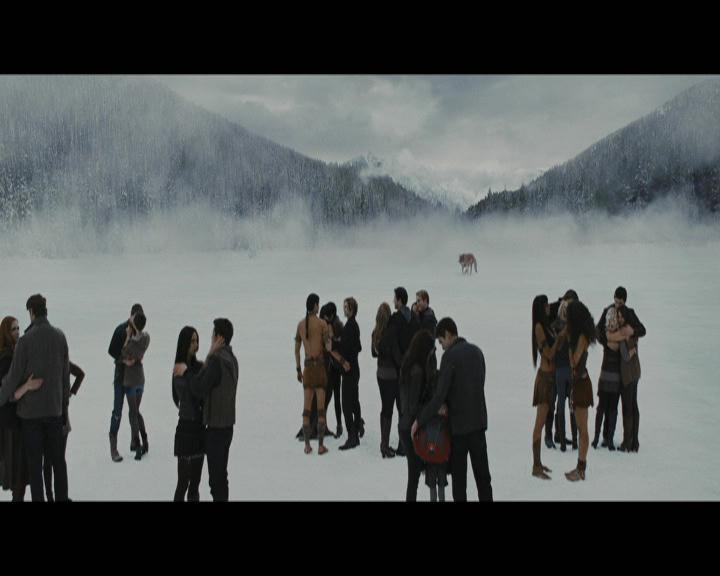 Ashley-Greene-dot-nl_BreakingDawnPart2-5377.jpg