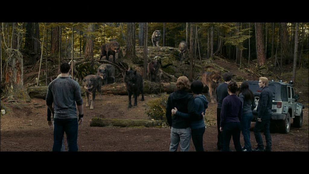 Ashley-Greene-dot-nl_Eclipse-Captures00131.jpg Ashley-Greene-dot-nl_Eclipse-Captures00131.jpg