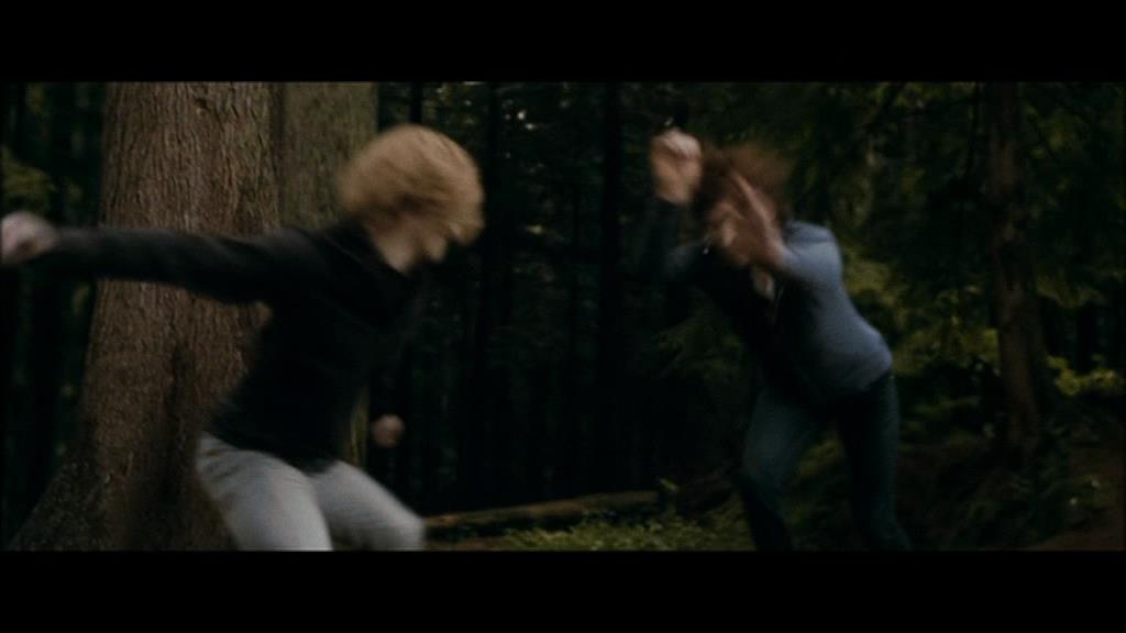 Ashley-Greene-dot-nl_Eclipse-Captures00165.jpg Ashley-Greene-dot-nl_Eclipse-Captures00165.jpg