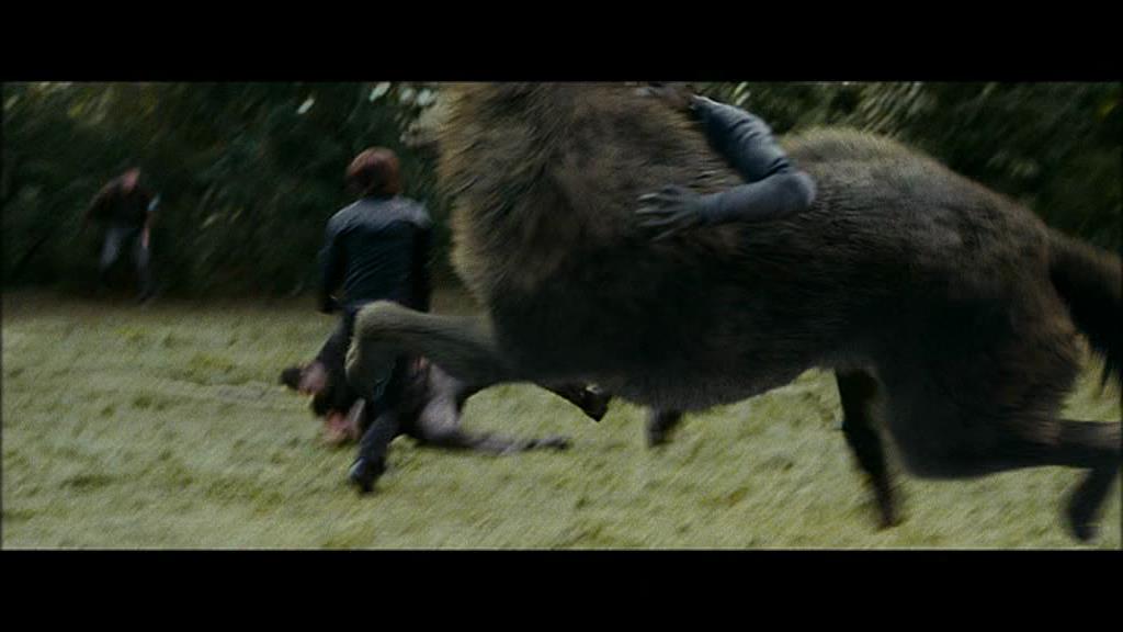 Ashley-Greene-dot-nl_Eclipse-Captures00311.jpg Ashley-Greene-dot-nl_Eclipse-Captures00311.jpg