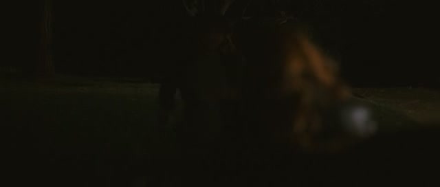 Ashley-Greene-dot-nl-Skateland2859.jpg Ashley-Greene-dot-nl-Skateland2859.jpg