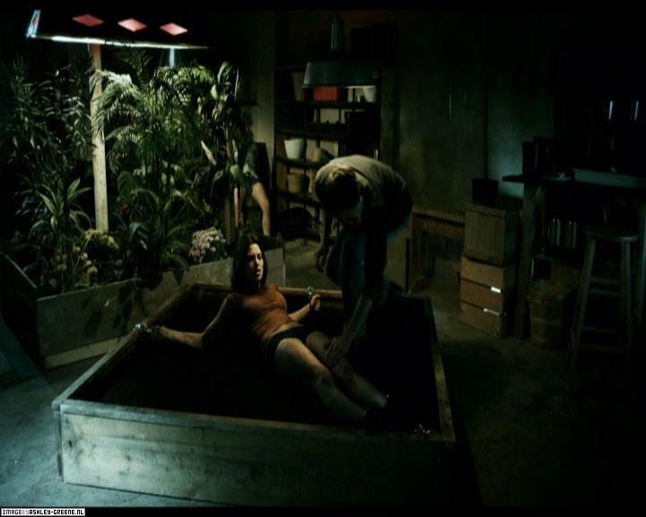 Ashley-Greene-dot-nl_SummersBlood-MovieCaptures000618.jpg