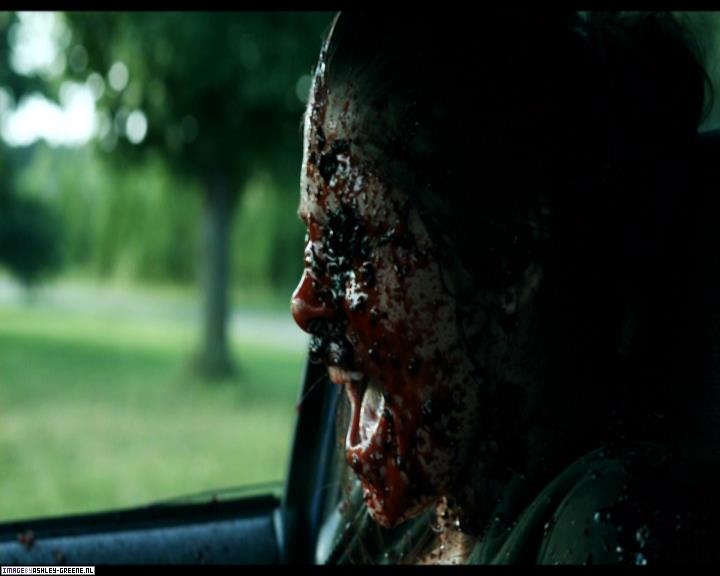 Ashley-Greene-dot-nl_SummersBlood-MovieCaptures001559.jpg