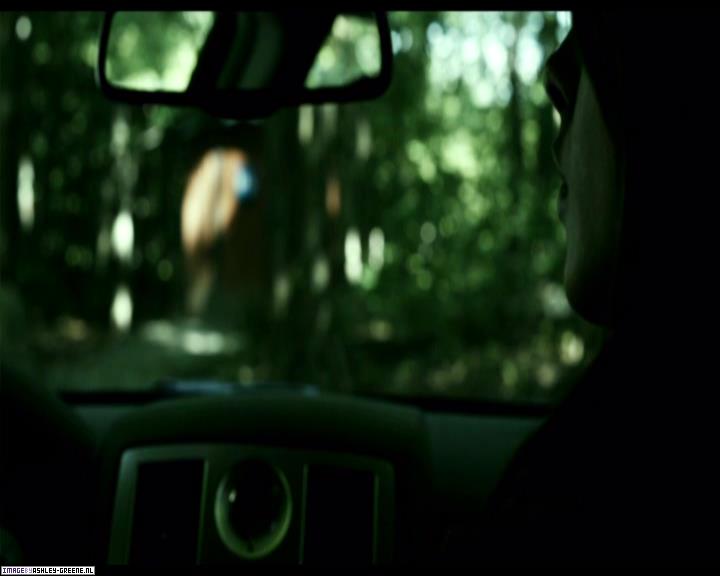 Ashley-Greene-dot-nl_SummersBlood-MovieCaptures001827.jpg Ashley-Greene-dot-nl_SummersBlood-MovieCaptures001827.jpg