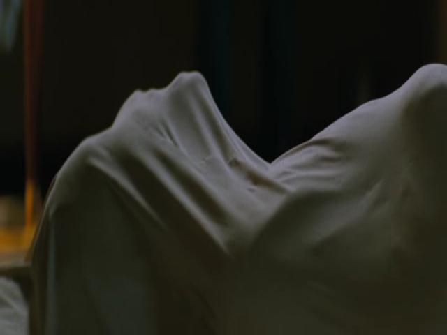 Ashley-Greene-dot-nl-TheApparition3005.jpg