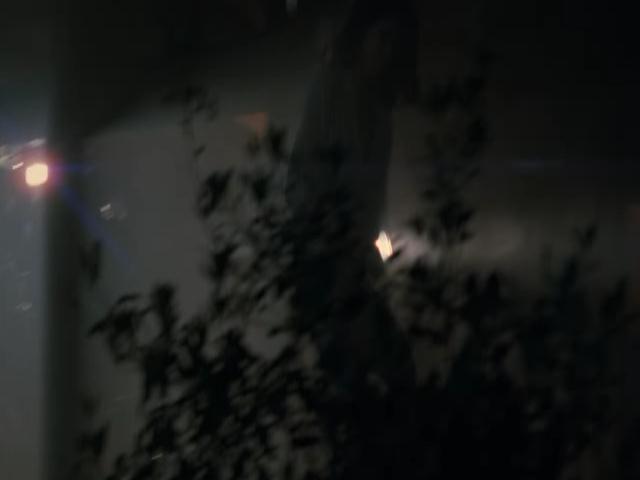 Ashley-Greene-dot-nl-TheApparition3998.jpg Ashley-Greene-dot-nl-TheApparition3998.jpg