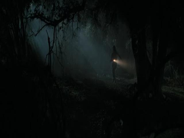 Ashley-Greene-dot-nl-TheApparition4059.jpg