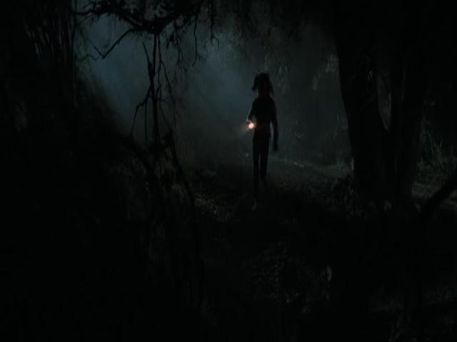 Ashley-Greene-dot-nl-TheApparition4060.jpg