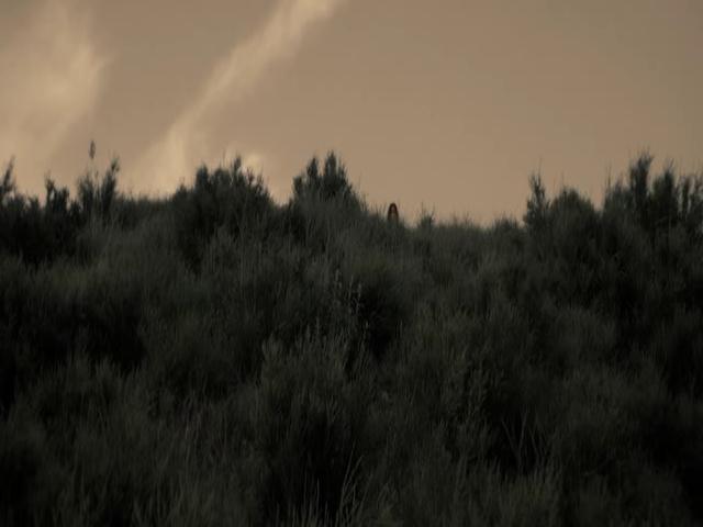 Ashley-Greene-dot-nl-TheApparition4101.jpg Ashley-Greene-dot-nl-TheApparition4101.jpg