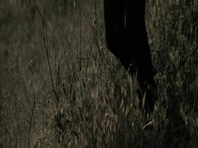 Ashley-Greene-dot-nl-TheApparition4117.jpg