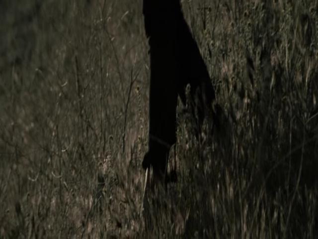 Ashley-Greene-dot-nl-TheApparition4119.jpg