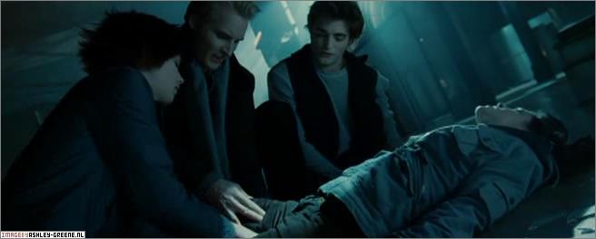 Ashley-Greene-dot-nl_TwilightCapture00436.jpg Ashley-Greene-dot-nl_TwilightCapture00436.jpg