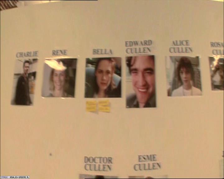 TwilightExtraTheAdventureBeginsTheJourneyFromPageToScreen0018.jpg