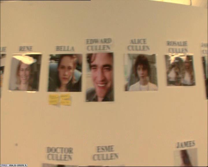 TwilightExtraTheAdventureBeginsTheJourneyFromPageToScreen0019.jpg