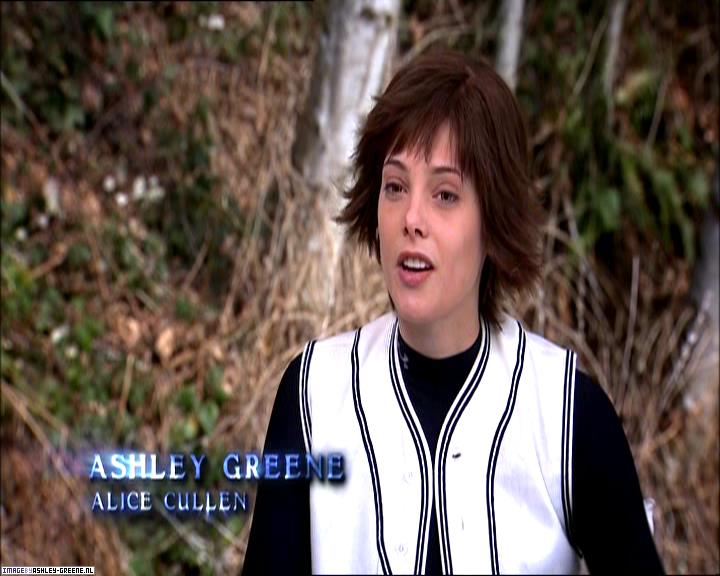 TwilightExtraTheAdventureBeginsTheJourneyFromPageToScreen0043.jpg