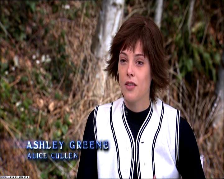 TwilightExtraTheAdventureBeginsTheJourneyFromPageToScreen0044.jpg