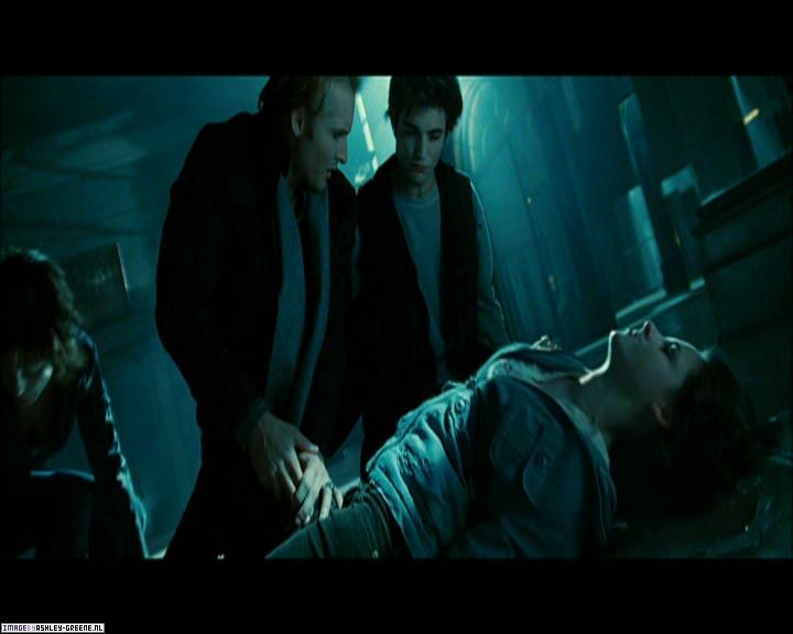 TwilightExtraTheAdventureBeginsTheJourneyFromPageToScreen0176.jpg