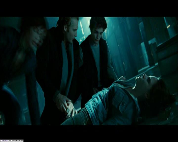 TwilightExtraTheAdventureBeginsTheJourneyFromPageToScreen0177.jpg