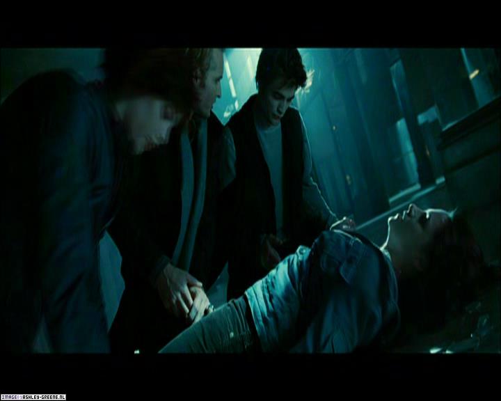 TwilightExtraTheAdventureBeginsTheJourneyFromPageToScreen0178.jpg