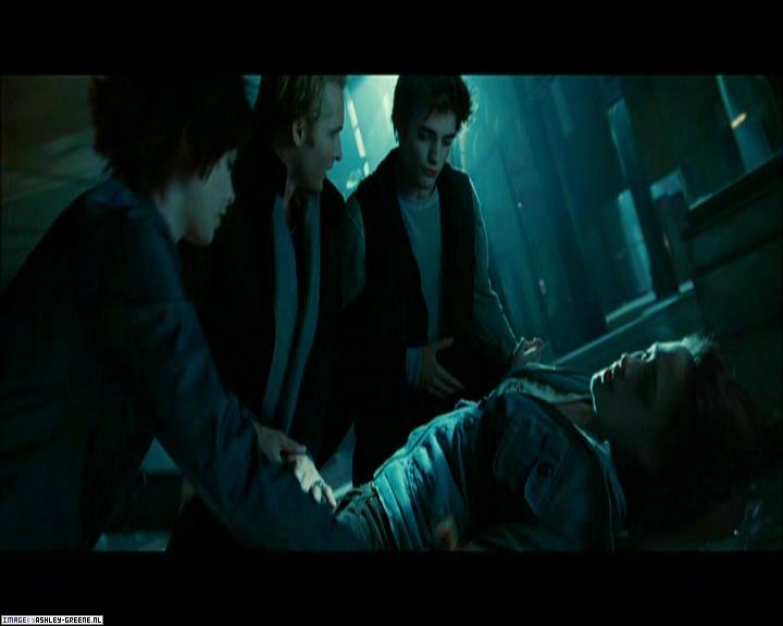 TwilightExtraTheAdventureBeginsTheJourneyFromPageToScreen0179.jpg