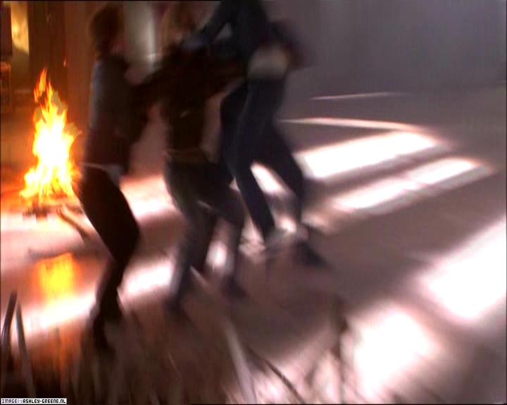 TwilightExtraTheAdventureBeginsTheJourneyFromPageToScreen0186.jpg