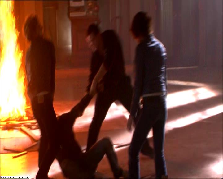 TwilightExtraTheAdventureBeginsTheJourneyFromPageToScreen0191.jpg