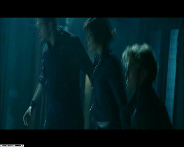 TwilightExtraTheAdventureBeginsTheJourneyFromPageToScreen0198.jpg