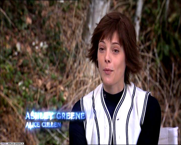 TwilightExtraTheAdventureBeginsTheJourneyFromPageToScreen0199.jpg