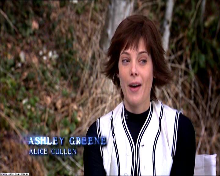 TwilightExtraTheAdventureBeginsTheJourneyFromPageToScreen0201.jpg