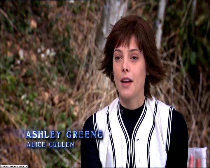 TwilightExtraTheAdventureBeginsTheJourneyFromPageToScreen0202.jpg