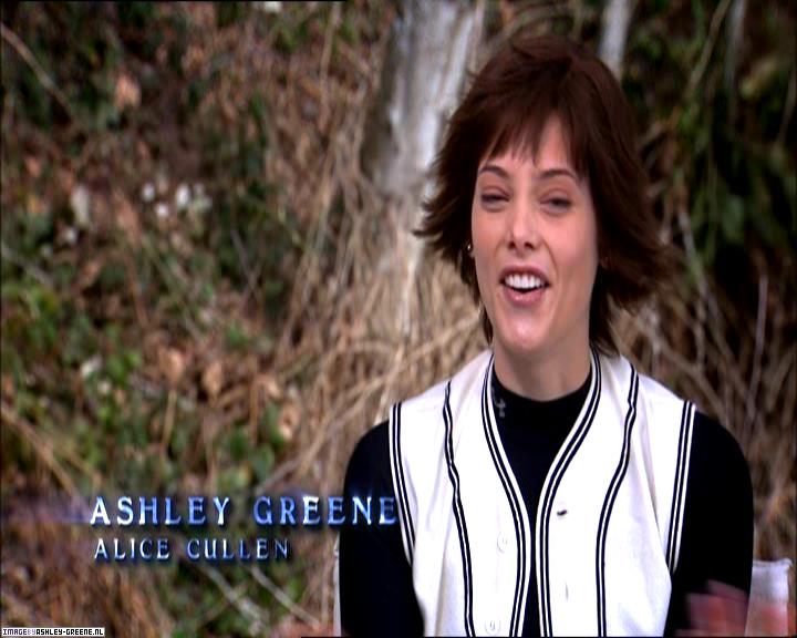 TwilightExtraTheAdventureBeginsTheJourneyFromPageToScreen0204.jpg