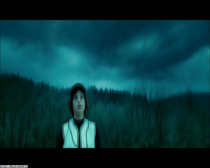 TwilightExtraTheAdventureBeginsTheJourneyFromPageToScreen0210.jpg