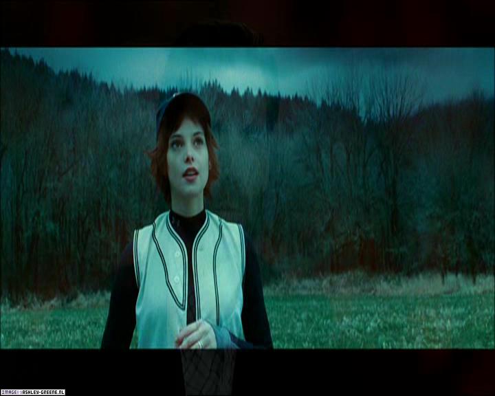 TwilightExtraTheAdventureBeginsTheJourneyFromPageToScreen0211.jpg