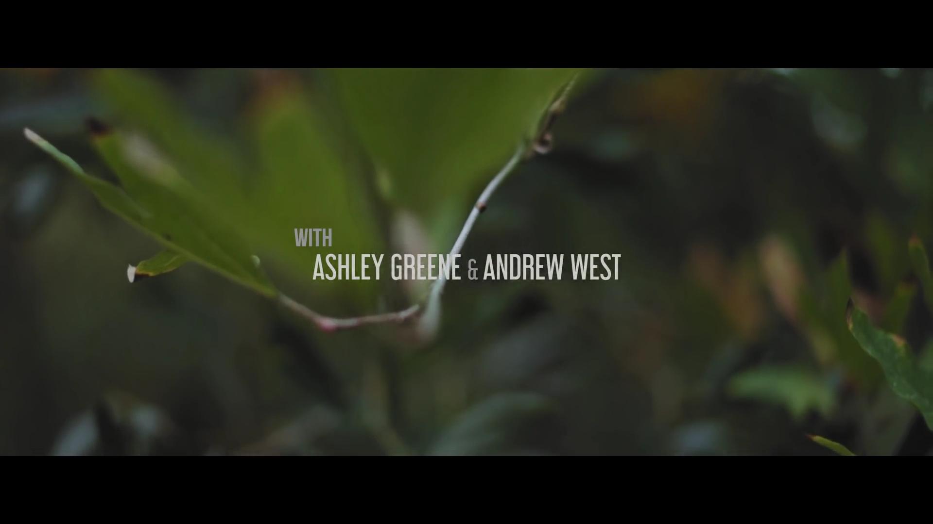 Ashley-Greene-nl_BANNERS-HolyGround0003.jpg