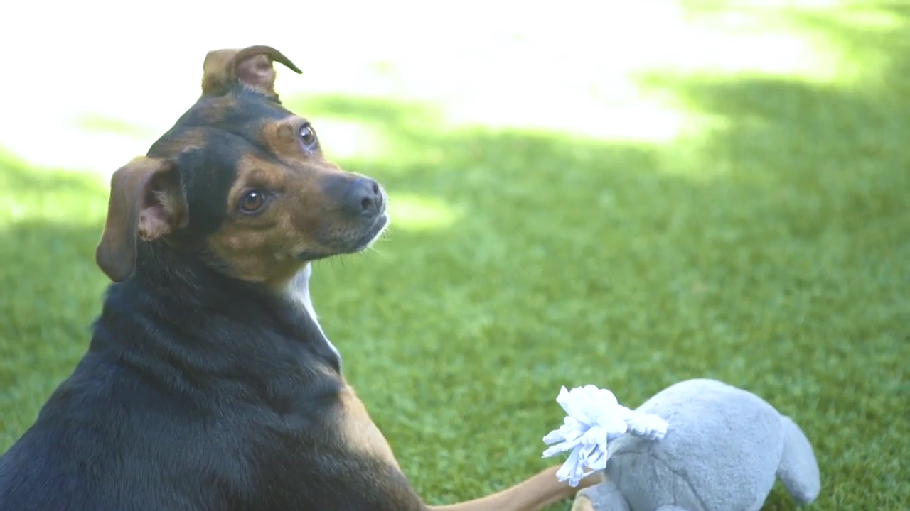 Ashley-Greene-dot-nl_ClickMyCloset0238.jpg Ashley-Greene-dot-nl_ClickMyCloset0238.jpg