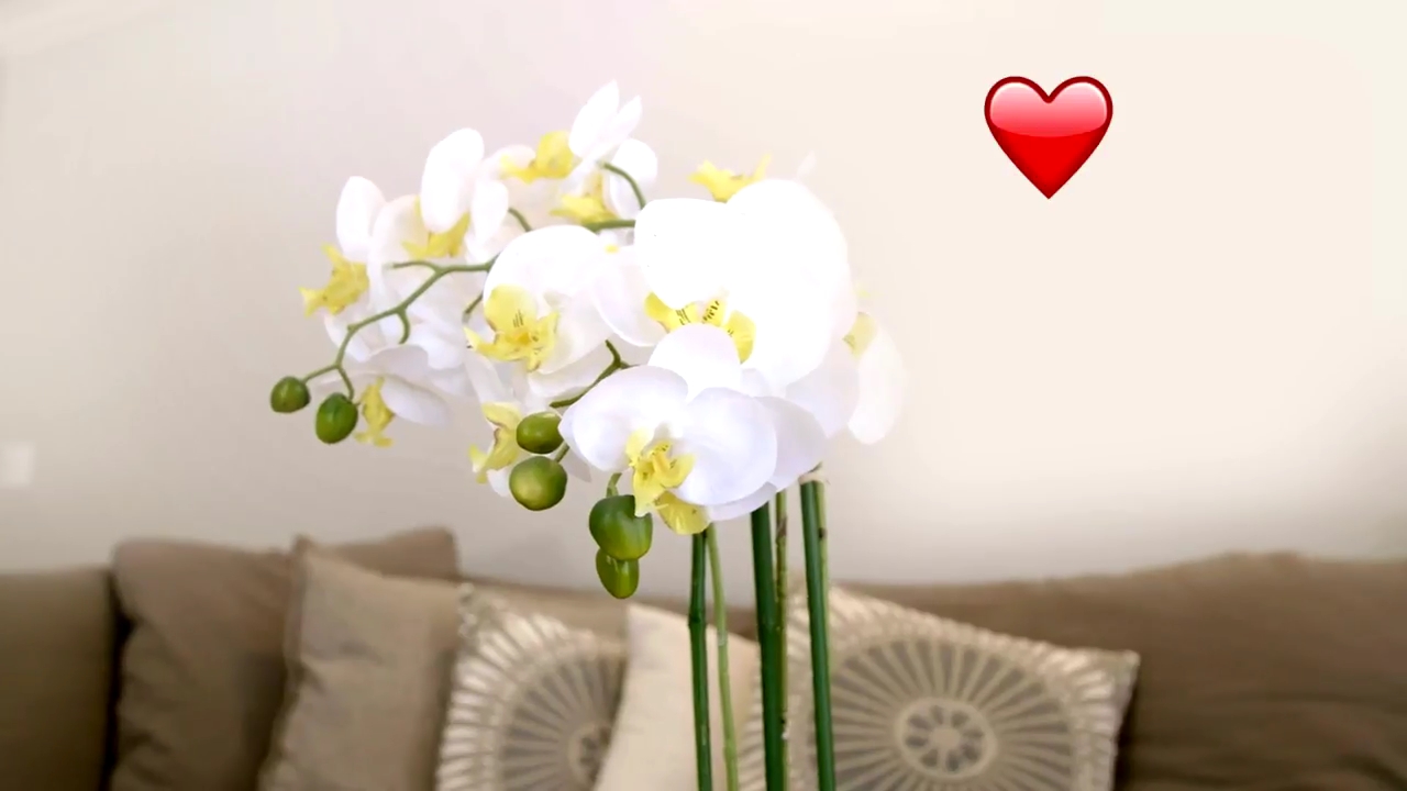 Ashley-Greene-dot-NL_DesignTherapy-2x02LoveItHateItorMeh0200.jpg