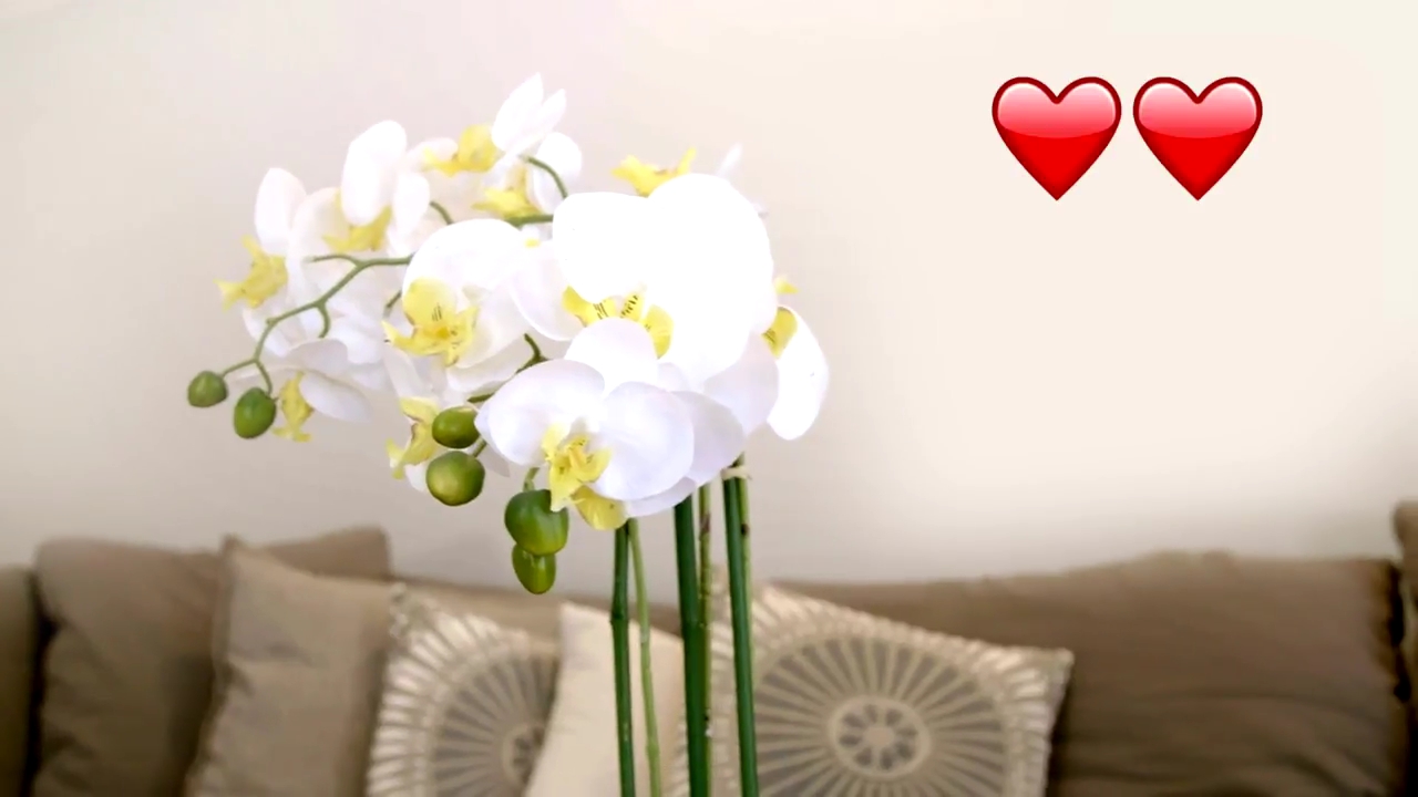 Ashley-Greene-dot-NL_DesignTherapy-2x02LoveItHateItorMeh0201.jpg