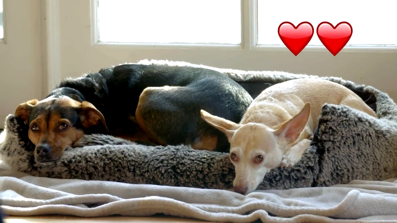 Ashley-Greene-dot-NL_DesignTherapy-2x02LoveItHateItorMeh0239.jpg Ashley-Greene-dot-NL_DesignTherapy-2x02LoveItHateItorMeh0239.jpg