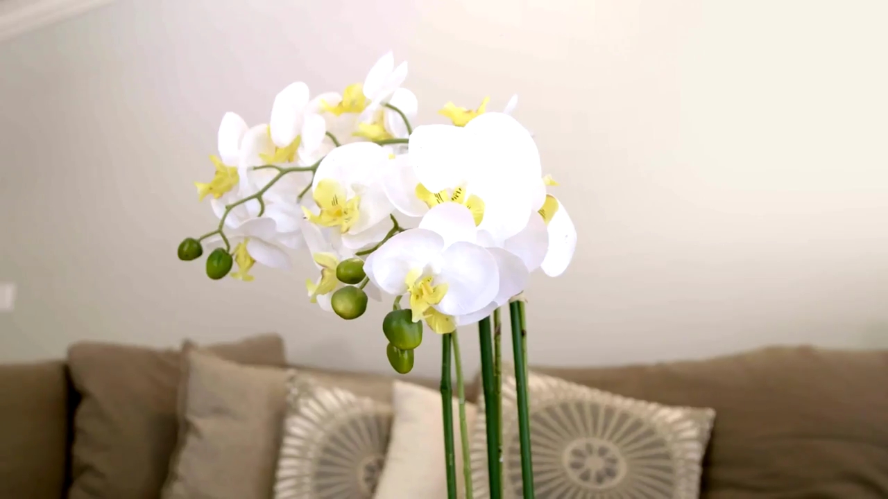 Ashley-Greene-dot-NL_DesignTherapy-2x02LoveItHateItorMeh0297.jpg