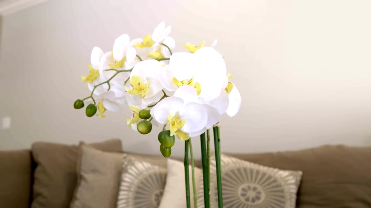 Ashley-Greene-dot-NL_DesignTherapy-2x02LoveItHateItorMeh0298.jpg